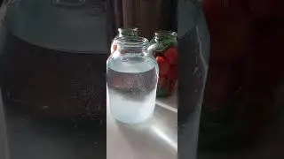 квашені помідори