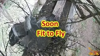 soon fit to fly