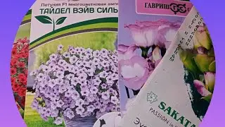 🌺Что посеять в ноябре?Почему так рано?🌺