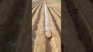 Умный полив своими руками 