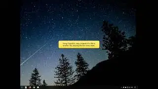 Windows: Copy content of a file to another file keeping file names intact using Copywhiz