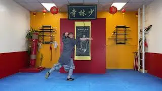 Da Hong Quan 01   Brown Belt