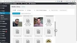 Verbal Roots -- Uploading new data sets
