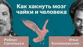 Роберт Сапольски о суперстимулах | Илья Колмановский, подкаст «Голый землекоп»