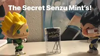 boyfunni Movie : The Secret Senzu Mint’s!