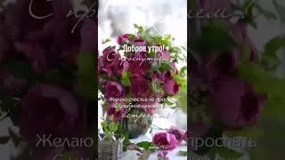 Доброе утро ☕