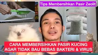 CARA MEMBERSIHKAN PASIR KUCING AGAR TIDAK BAU / cara mencuci pasir zeolit kucing agar tidak bau