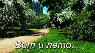 Вот и лето