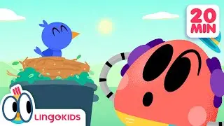 BABY BOT 🤖 and The Magic Stick + More Episodes! 🐞 | Lingokids Cartoons