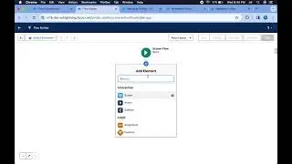 How to use custom metadata in a screen flow