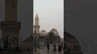 Madina Rain #Madinah #madinahkigli #Makkah #saudi #shorts #trending #viralshort