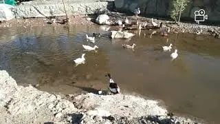 Beautiful place and tourist spots at hatta wadi hub,hatta Dubai united Arab Emirates