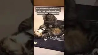 У кого так же ?