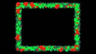 Video frame effects 24/ Video footage effects