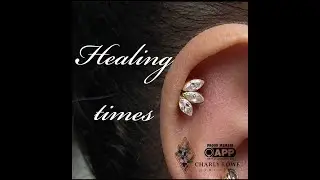 Piercing Healing Times