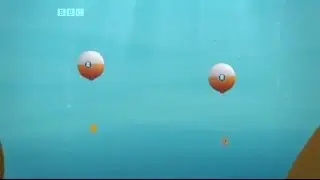 The Octonauts S2E15   The Octonauts And The Triggerfish