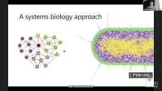 Investigating Bacterial Biology with CRISPR Tools and Antibiotics