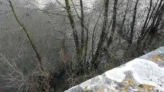 Sans Titre CCLXVI