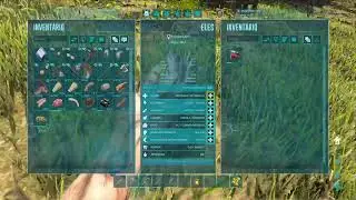 Live de ark survival evolved