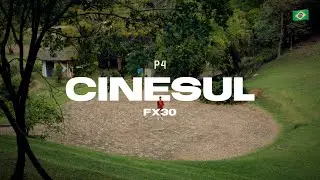 COMO EU GRAVO COM A SONY FX30?