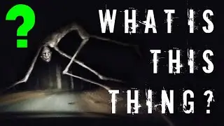 What is the Country Road Creature?