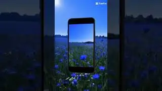 Заканчивается лето 🥺Но впереди осень 😉#природа #мотивациядня #musicclip #shorts