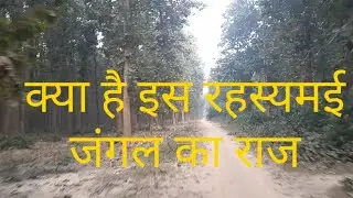 महाराजगंज उत्तर प्रदेश में फरेंदा जंगल (प्रेतवाधित जंगल)