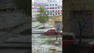 Снег