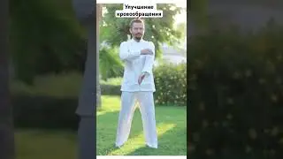 Улучшение кровообращения #гуйшэнь #павелким