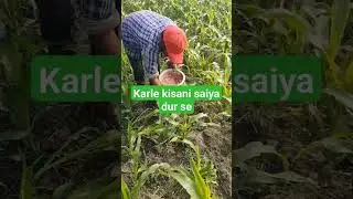 16 December 2023