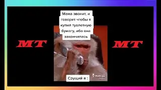 Тик Ток Не Ходит В Школу | Мемы и Приколы Tik Tok #54
