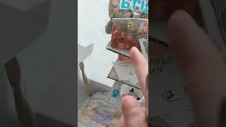 обзор на дом бумажных собак часть 3 #бумажныесобаки