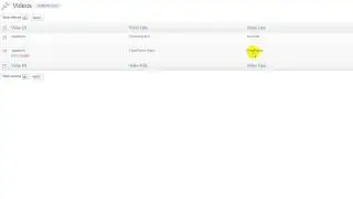 Covert Player Pro Version - Pending Release Details
