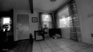 Spirits caught on home security footage
