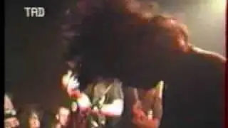 TAD - Daisy