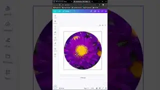 How to Crop Photos into Round Shapes | Canva Crop 