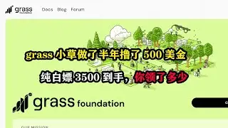 grass小草做了半年撸了500美金，纯白嫖3500到手，你领了多少 #电脑挂机 #挂机赚钱 #挂机项目 #空投教程 #空投项目 #副业赚钱 #grass #薅羊毛