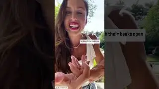 Nest Fingerplay with Miss Jolie 