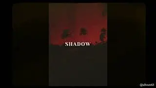 Zamdane x TIF Type Beat "SHADOW" - Instru Afro