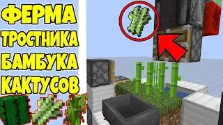 Ферма тростника, бамбука и кактуса