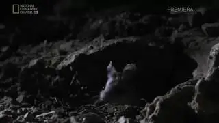Aaaaaaaaaaaaah