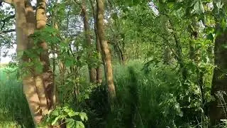 Scarisbrick Permissive Footpath?