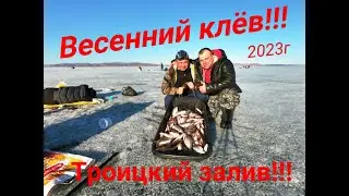 ВЕСЕННИЙ КЛЁВ СОРОГИ И ЛЕЩА!!!/ТРОИЦКИЙ ЗАЛИВ КРАСНОЯРСКОГО ВОДОХРАНИЛИЩА!!!/И ЭТО ЕЩЁ НЕ ЗАКРЫТИЕ!!