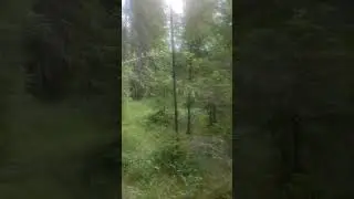 3 июля 2024 г.