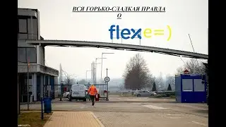 CRACK_PECKS_FLEX! ОТВЕТЫ НА 