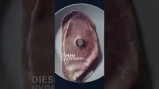 Kurzgesagt: Das passiert, wenn man Knopfzellen verschluckt