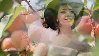 Злата Раздолина - Воздушная яхта (стихи Игоря Северянина)