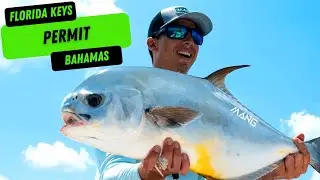 (Catch and Release Permit Fishing) - This permit saved our trip to the Florida Keys