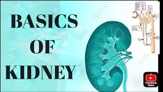 BASICS OF KIDNEY #ANATOMY_PHYSIOLOGY_MADE EASY