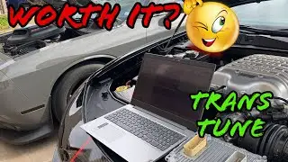 Does a Trans Tune really make your RT, Scatpack, or Hellcat Faster?  Is it worth the money?